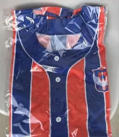 アルビレックス新潟　ユニフォーム