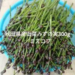 ミズコブ350g みずの実、極上大粒入り、山菜、南部産 - メルカリ