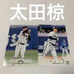 太田椋