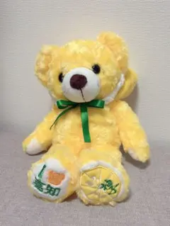 ご当地ベア 高知 くまのぬいぐるみ イエロー お土産