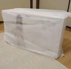 2025年最新】大鳳 spの人気アイテム - メルカリ