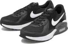 Nike Air Max ウィメンズ エア マックス エクシー レディース