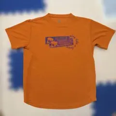 Item thumbnail for item 36432383-3f6a-4f35-a04f-81a34d6aa61c