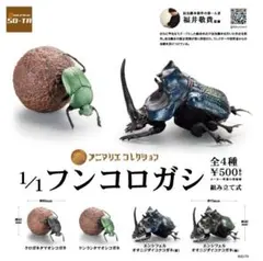 2026年最新】フンコロガシ 標本の人気アイテム - メルカリ