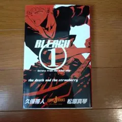 BLEACH 小説① letters from the other side