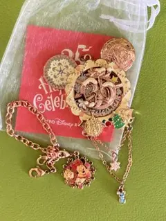 2025年最新】ディズニー35周年タイムオブセレブレーションの人気