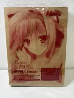 【未開封品】電撃姫 月に寄りそう乙女の作法 桜小路ルナ 抱き枕カバー
