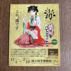 猫猫 薬屋のひとりごと