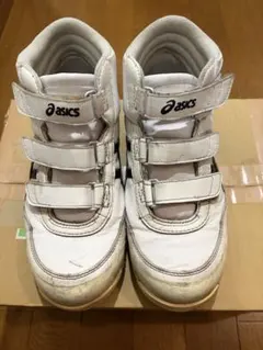 タ*ボ様 『新品未使用』asics 安全靴 ホワイト/ライケングリーン 25 