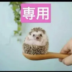 4点、オムインテンス、オムパルファン、ジャドールインフィニシッム2個