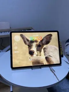 iPad pro11インチ ジャンク品｜画面割れ・バッテリー劣化あり｜動作OK