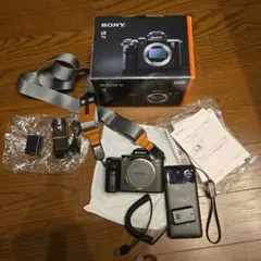 2026年最新】sony α7IIの人気アイテム - メルカリ