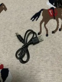 USB-C 充電ケーブル ブラック 約30cm