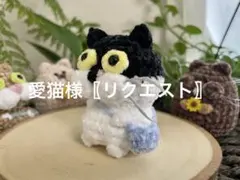 愛猫様〖専用〗