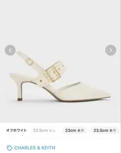 CHARLES & KEITH Sepphe スタッズストラップパンプスのサムネイル