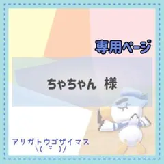 ちゃちゃん様 リクエスト 3点 まとめ商品