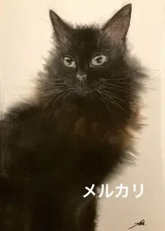 猫　水彩画　原画