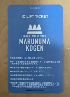 お買い得‼️丸沼高原 ICリフト一日券+割引券のサムネイル