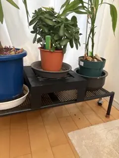 いち様 リクエスト 3点 まとめ商品