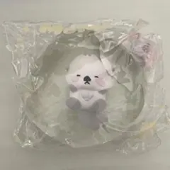 momo 海洋シリーズ　ラッコ　シークレット　スクイーズ