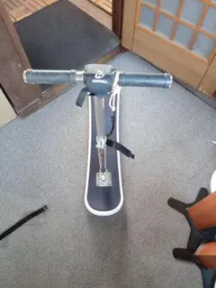 2026年最新】SNOWPULLの人気アイテム - メルカリ