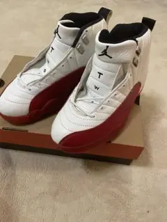 NIKE AIR JORDAN RETRO メンズ 26.5cm