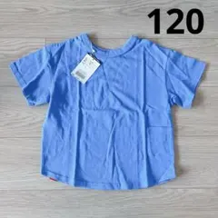 新品 120cm BREEZE DAISUKI WEAR 半袖 Tシャツ ブルーのサムネイル