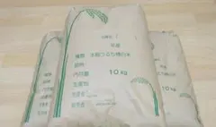 小田北条産こしひかり 5kg ×2袋令和7年産 - メルカリ