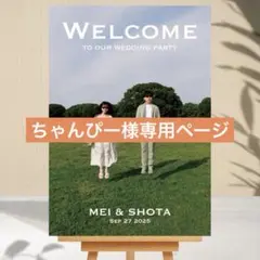 ちゃんぴー様専用　ウェルカムボード　パネル　結婚式　ウェルカムスペース　受付装飾