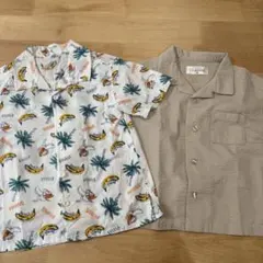 Item thumbnail for item 6be244f0-80b8-434b-bc43-d58b9be0a6b2