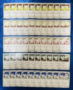 ポケカ　ポケモンカード　ワッカネズミ　イッカネズミ　50枚セット　ノーマルカード