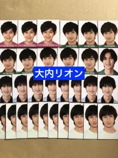 (通常サイズ) 大内リオンデータカードセット