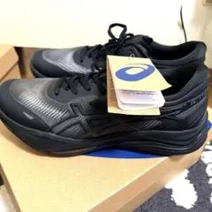 asics GEL-RIDEWALK2 新品未使用！27.5cmのサムネイル