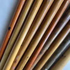 Item thumbnail for item 7e7bb8ee-f7cf-49db-8ccf-cee899b0e16f