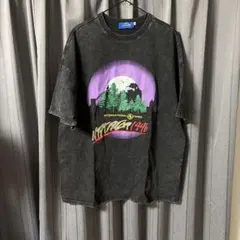 INS ERROR ヴィンテージ加工 Tシャツ Mサイズ