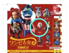 ワンピの実 第二十六海戦 スコッパー・ギャバン ガチャ