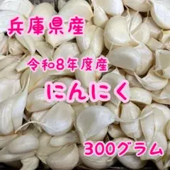 兵庫県産 令和8年度産 にんにく バラ 300グラム ニンニクのサムネイル