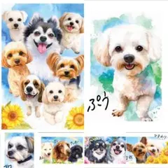 Item thumbnail for item f384caed-18d4-460c-9949-ad1364a260fe