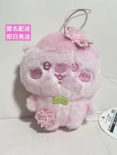 ちいかわ　ぬいぱれっと　さくらいろ　くりまんじゅう マスコットキーホルダー