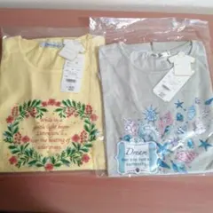 Item thumbnail for item fae8abe0-4eb8-4f50-96d9-63b06ee87727