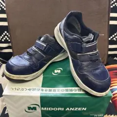 Item thumbnail for item 88559afb-ea72-4c07-9463-ca4f604ef0fa