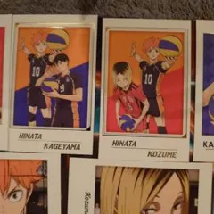 ハイキュー!! トレーディングカード 15枚セット