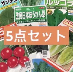 選べる❗️便利野菜の種5点セット　小分け