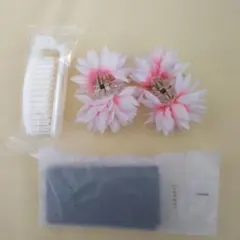 Item thumbnail for item 4a97aa45-d671-451c-b4d9-4150f7a096e8