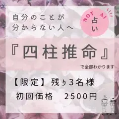 四柱推命 本格鑑定書｜あなただけの設計図｜2500円 残３名様