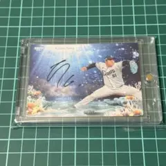 2026年最新】BBM クロス 直筆の人気アイテム - メルカリ