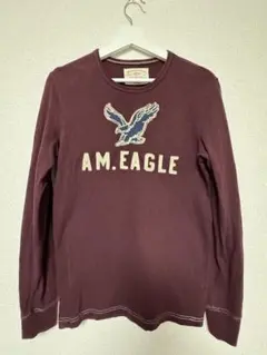 AMERICAN EAGLE OUTFITTERS 長袖カットソー /XS