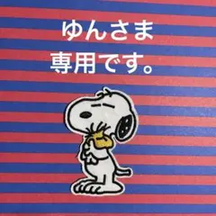 ゆん（まとめ買いはプロフ必読願います）様 リクエスト 2点 まとめ商品