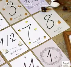 月齢 マンスリー カード ニューボーンフォト