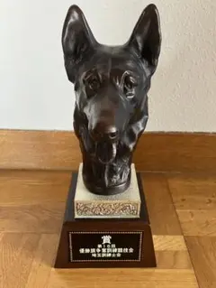 Item thumbnail for item 3935fb2a-070b-4cac-9cc8-c6bb623e57a3